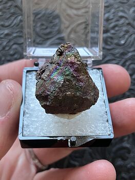 Iridescent Hematite Turgite Graves Mountain Thumbnail Crystal Specimen Perky Box #NO5UZRBAarI
