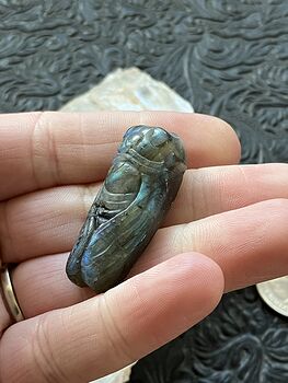 Labradorite Crystal Carved Cicada #25R1HdNYbnk