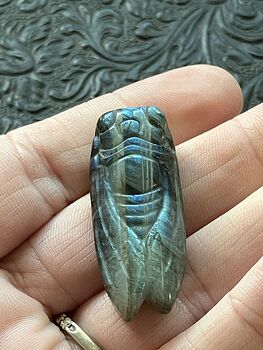Labradorite Crystal Carved Cicada #h33T0DvXOKw