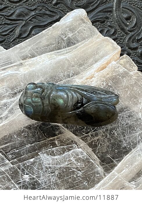 Labradorite Crystal Carved Cicada - #25R1HdNYbnk-6
