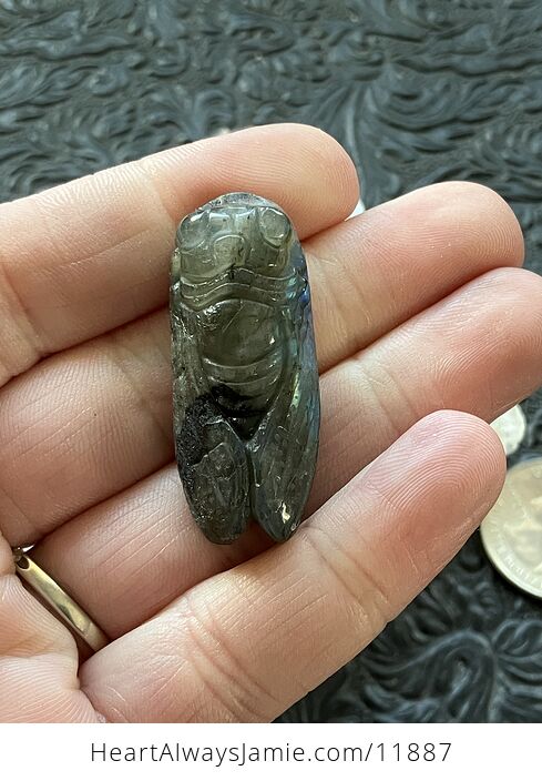 Labradorite Crystal Carved Cicada - #25R1HdNYbnk-2