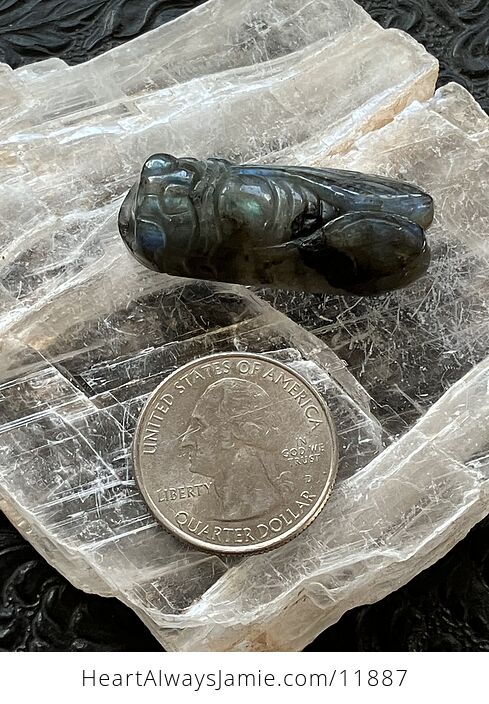 Labradorite Crystal Carved Cicada - #25R1HdNYbnk-7