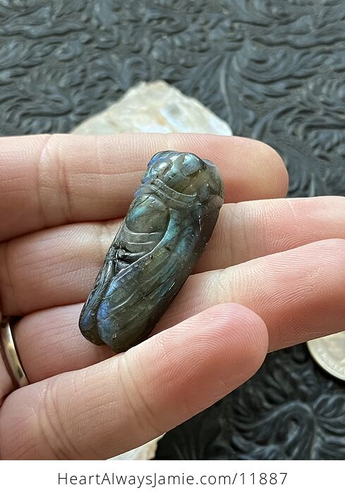Labradorite Crystal Carved Cicada - #25R1HdNYbnk-1