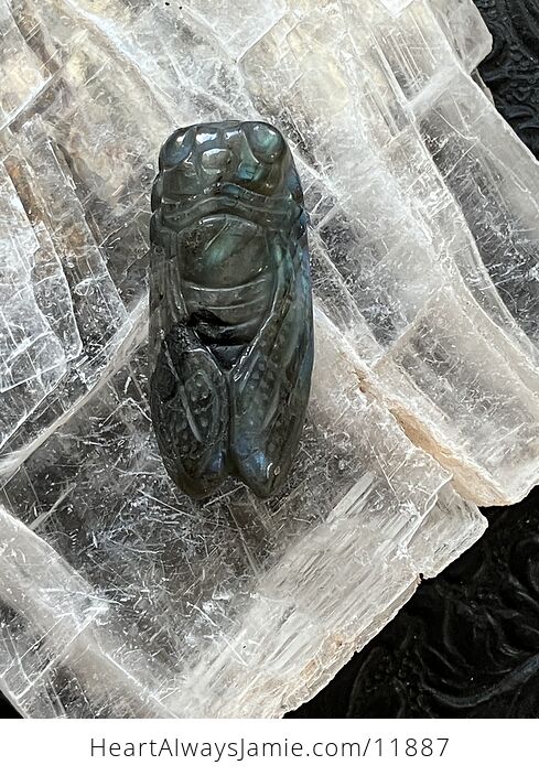 Labradorite Crystal Carved Cicada - #25R1HdNYbnk-5