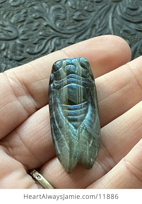 Labradorite Crystal Carved Cicada - #h33T0DvXOKw-1