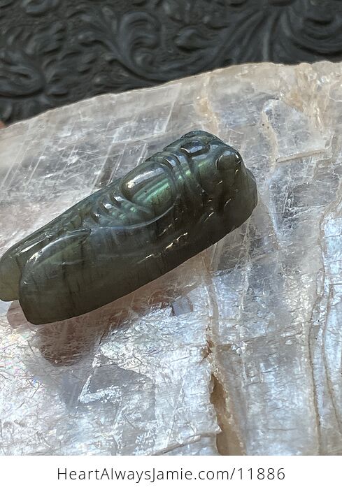 Labradorite Crystal Carved Cicada - #h33T0DvXOKw-4