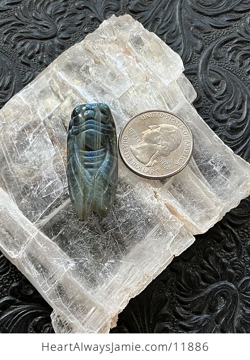 Labradorite Crystal Carved Cicada - #h33T0DvXOKw-8