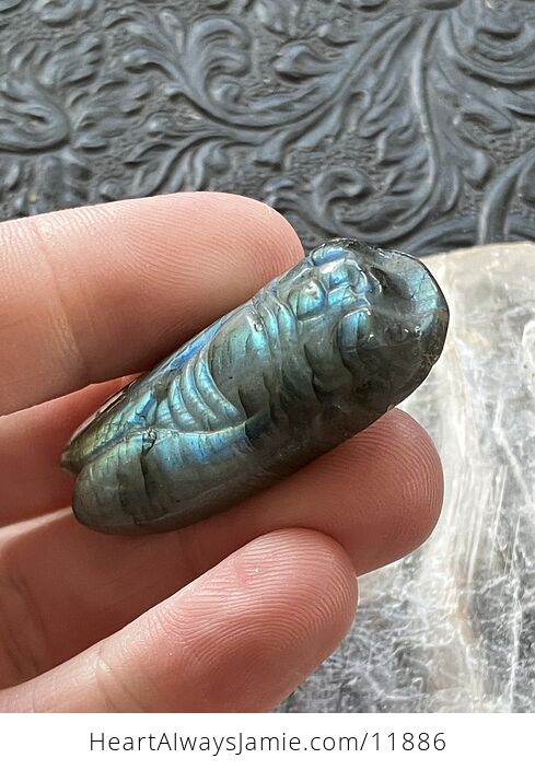 Labradorite Crystal Carved Cicada - #h33T0DvXOKw-5