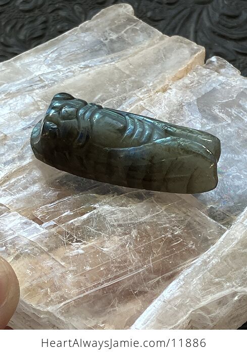 Labradorite Crystal Carved Cicada - #h33T0DvXOKw-3