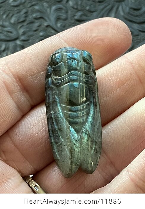 Labradorite Crystal Carved Cicada - #h33T0DvXOKw-7