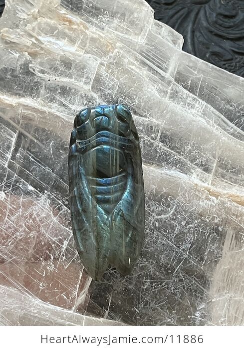 Labradorite Crystal Carved Cicada - #h33T0DvXOKw-2