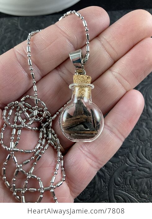 Naturally Sun Blackened Pacific Madrone Arbutus Menziesii Bark in Glass with Cork Stopper Oregon Jewelry Pendant - #moLDG1ngewU-1