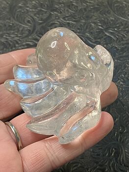 Octopus Carved in Polished Quartz Crystal #uqZfgOsqWKA