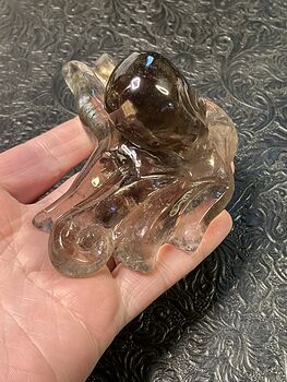 Octopus Carved in Polished Smoky Quartz Crystal #fXJJVpGxlxQ