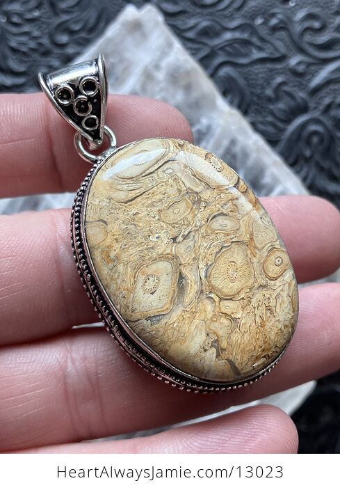 Petrified Palm Root Pendant Stone Crystal Jewelry - #BSfBFKoOkIA-5