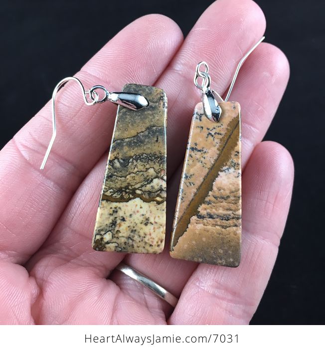 Picture Jasper Stone Jewelry Earrings - #7Wd5HPEHDlA-3