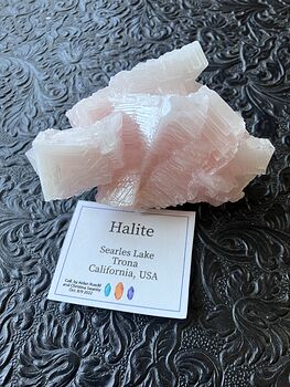 Pink Halite Crystal from Searles Lake Trona California #nxJ8014WSvQ