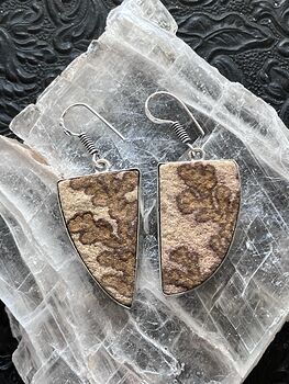 Psilomelane Manganese Oxides Dendrite Earrings Stone Crystal Jewelry #aisFMa9iVM0