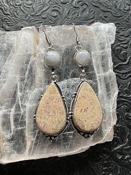 Rainbow Moonstone and Fossil Coral Crystal Gemstone Stone Jewelry Earrings #4hKJpnKRbp8