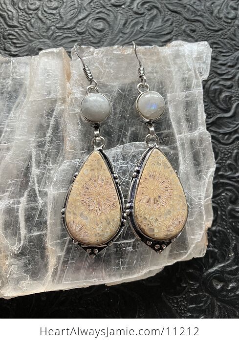 Rainbow Moonstone and Fossil Coral Crystal Gemstone Stone Jewelry Earrings - #4hKJpnKRbp8-1