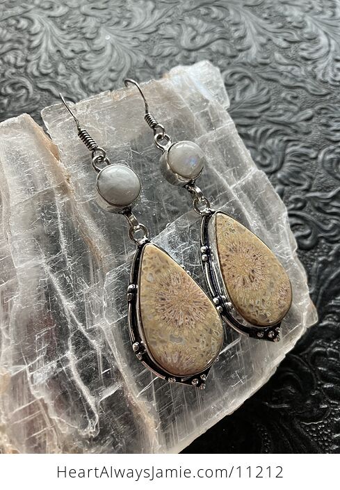Rainbow Moonstone and Fossil Coral Crystal Gemstone Stone Jewelry Earrings - #4hKJpnKRbp8-3