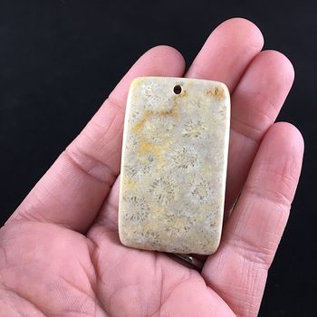 Rectangle Shaped Chrysanthemum Coral Fossil Stone Pendant Necklace Jewelry #XFYXTw07fAs