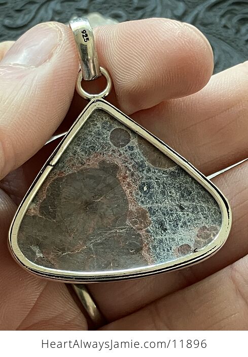 Rhyolite Birdseye Jasper Stone Jewelry Crystal Pendant - #scbvjz9Flcg-4