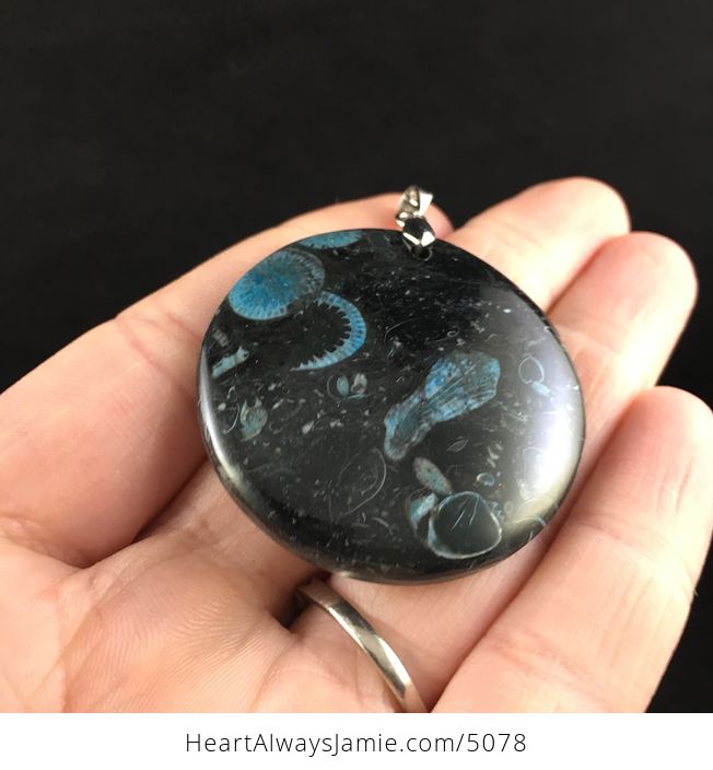Round Blue and Black Crinoid Fossil Stone Jewelry Pendant - #qTnYYYd3g8Y-2