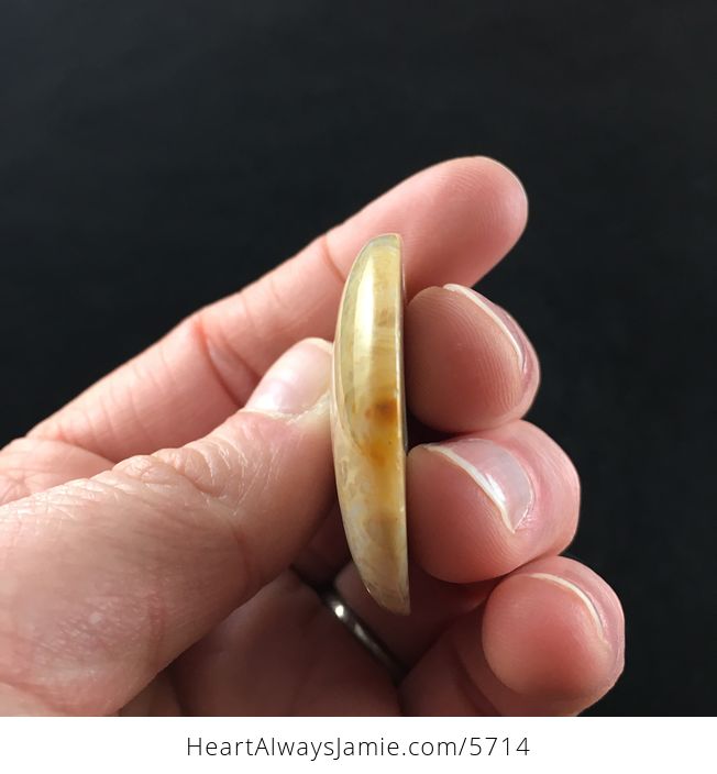 Round Coral Jade Fossil Stone Jewelry Pendant - #uw0drhgQ8Js-6