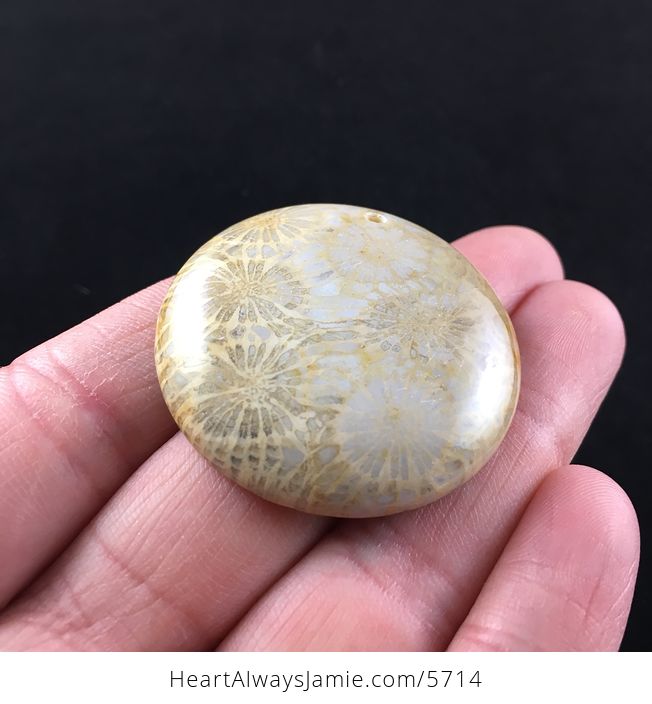 Round Coral Jade Fossil Stone Jewelry Pendant - #uw0drhgQ8Js-3