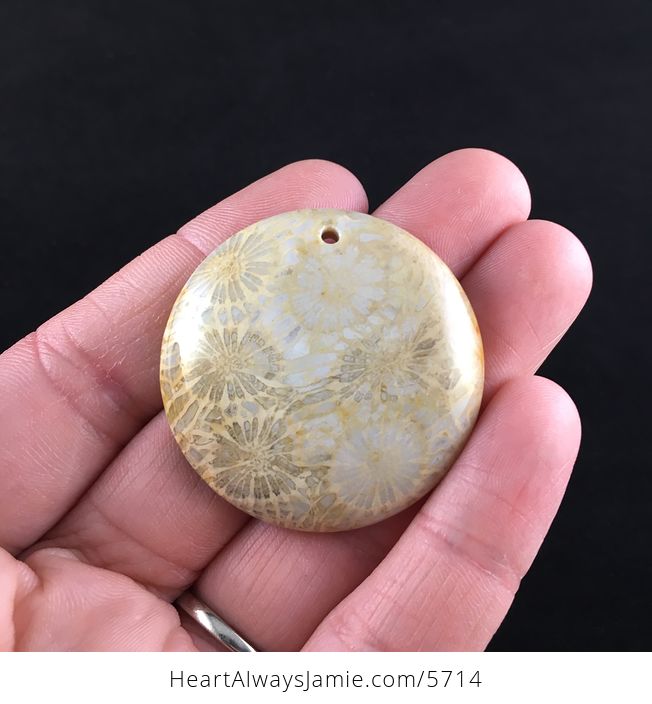 Round Coral Jade Fossil Stone Jewelry Pendant - #uw0drhgQ8Js-1