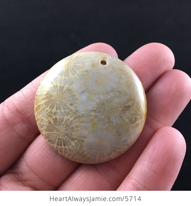 Round Coral Jade Fossil Stone Jewelry Pendant - #uw0drhgQ8Js-2