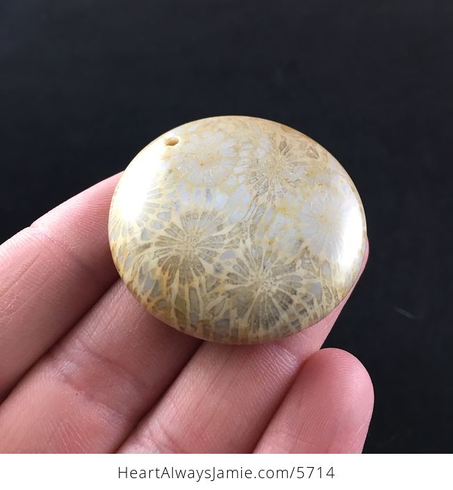 Round Coral Jade Fossil Stone Jewelry Pendant - #uw0drhgQ8Js-5