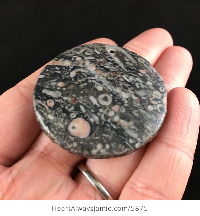 Round Crinoid Fossil Stone Jewelry Pendant - #ojKwpjyEYDE-2