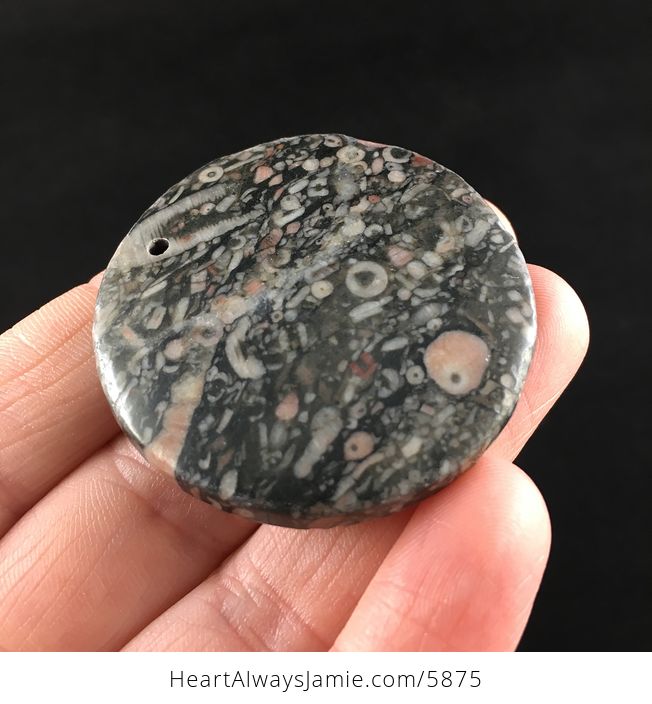 Round Crinoid Fossil Stone Jewelry Pendant - #ojKwpjyEYDE-4