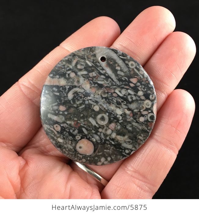 Round Crinoid Fossil Stone Jewelry Pendant - #ojKwpjyEYDE-1