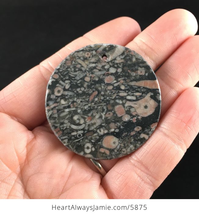 Round Crinoid Fossil Stone Jewelry Pendant - #ojKwpjyEYDE-6