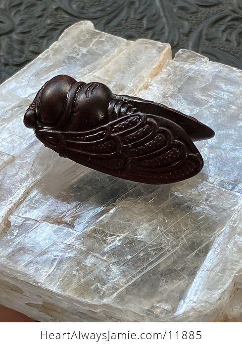 Sandalwood Cicada Carving - #NWD0SO02Z6M-3