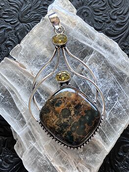 Sea Ocean Jasper and Citrine Crystal Stone Jewelry Pendant #1X896AWzPqs