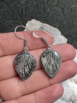 Stingray Coral Fossil Earrings Stone Crystal Jewelry #Q23zPRvaHQU