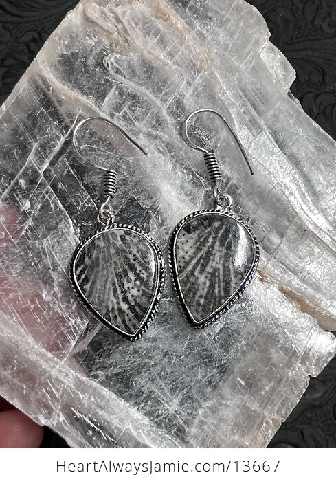 Stingray Coral Fossil Earrings Stone Crystal Jewelry - #Q23zPRvaHQU-5