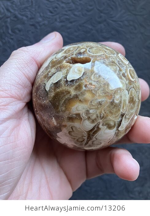 Stunning Druzy Chocolate Calcite Crystal Sphere - #a80buT4mUKE-6