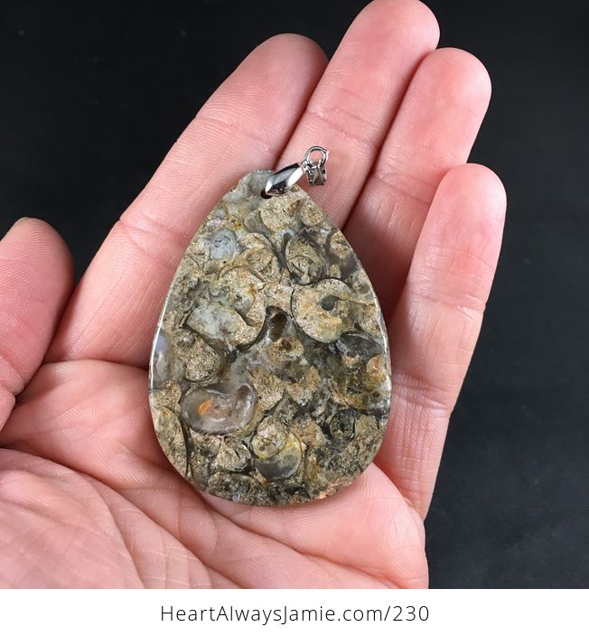Stunning Natural Snail Fossil Stone Pendant Necklace - #bYnVGC24gmw-2