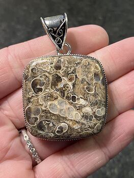 Turitella Fossiliferous Elimia Agate Crystal Stone Jewelry Pendant #0UCUacvBUf4