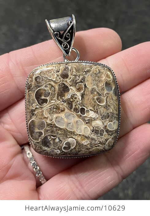 Turitella Fossiliferous Elimia Agate Crystal Stone Jewelry Pendant - #0UCUacvBUf4-1