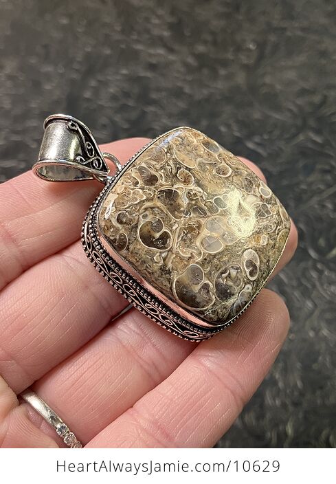 Turitella Fossiliferous Elimia Agate Crystal Stone Jewelry Pendant - #0UCUacvBUf4-3