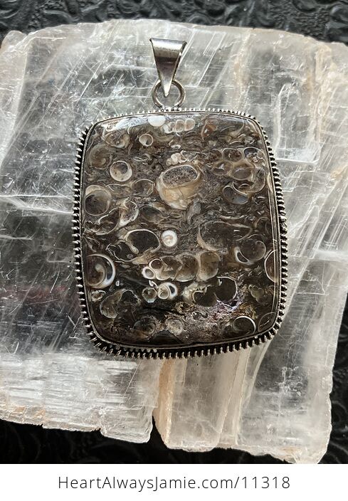 Turitella Fossiliferous Elimia Agate Crystal Stone Jewelry Pendant - #RUno4mqvVNw-2