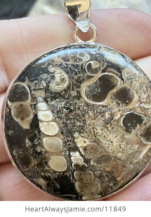 Turitella Fossiliferous Elimia Agate Crystal Stone Jewelry Pendant - #vtWGs31l3WY-2
