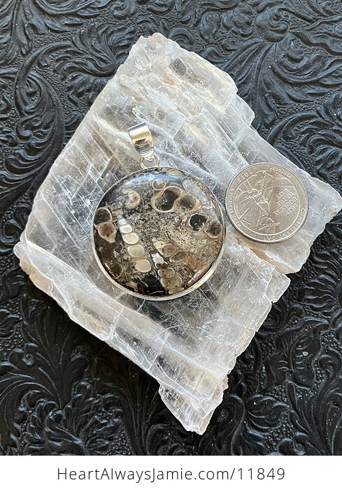 Turitella Fossiliferous Elimia Agate Crystal Stone Jewelry Pendant - #vtWGs31l3WY-5