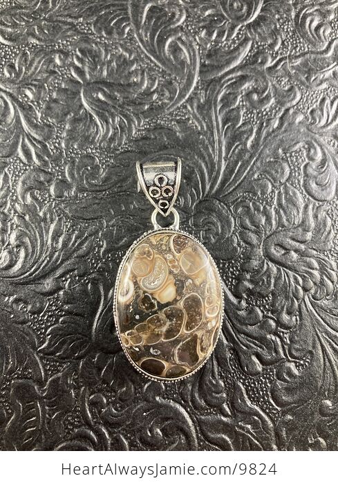 Turritella Fossil Agate Stone Crystal Jewelry Pendant - #yLsFua6uPvo-1